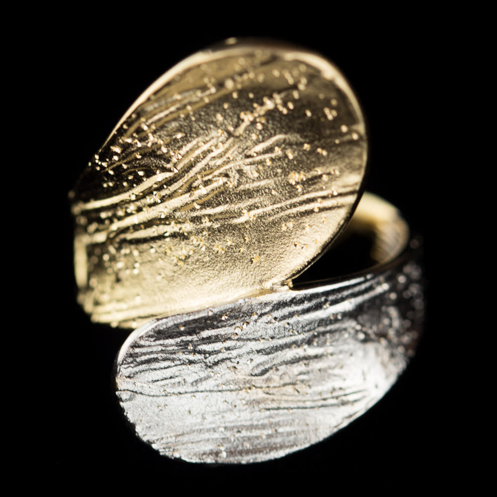 PRE1217001 - Tweekleurige schitterende ring, verguld en zilver