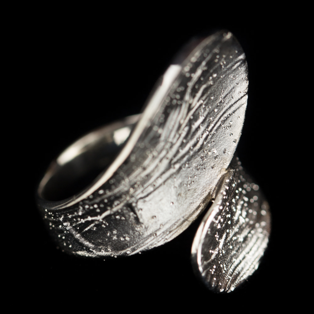 Tweekleurige schitterende ring, zilver en grijs