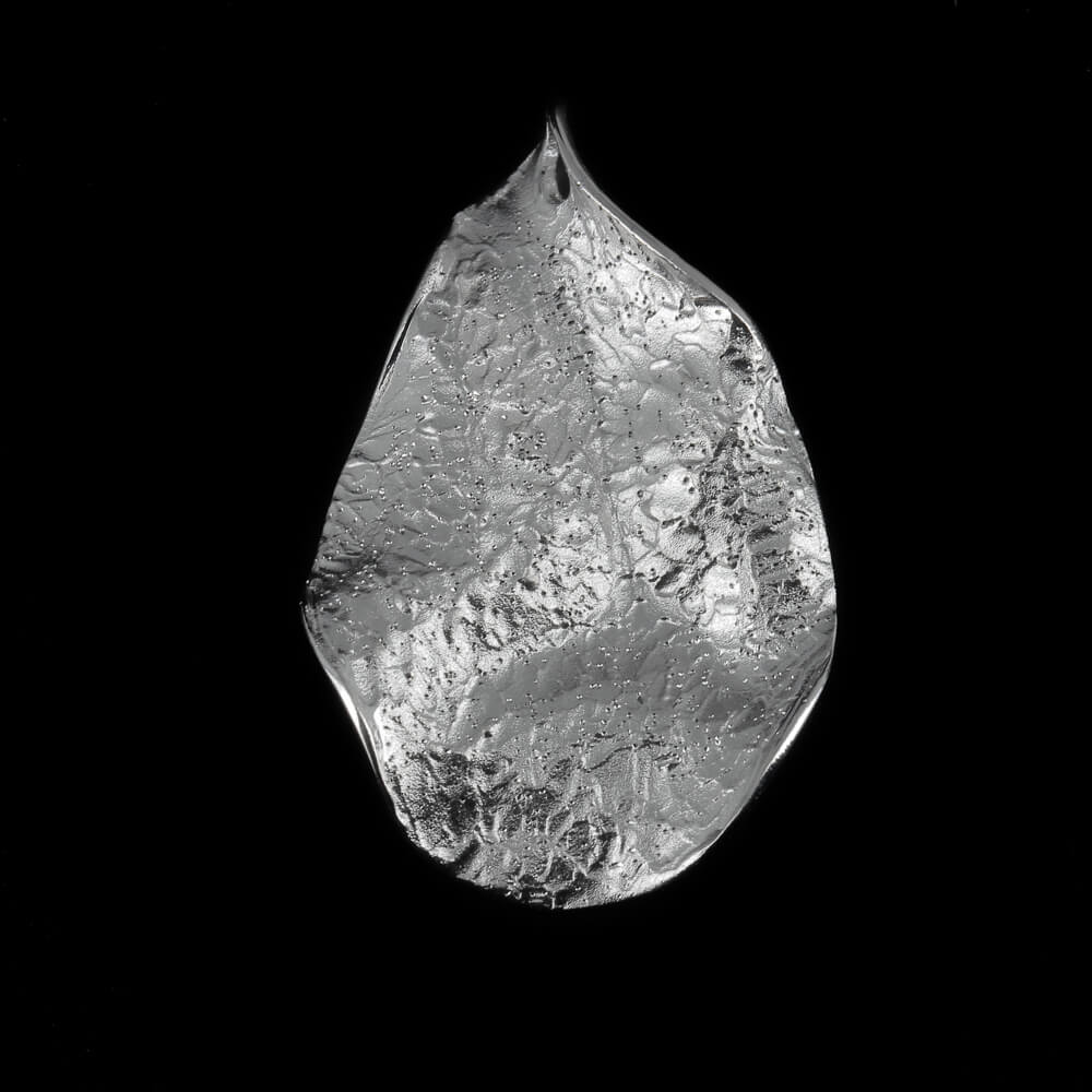 L0520011 - Kleine zilveren en golvende bladhanger/ gediamanteerd